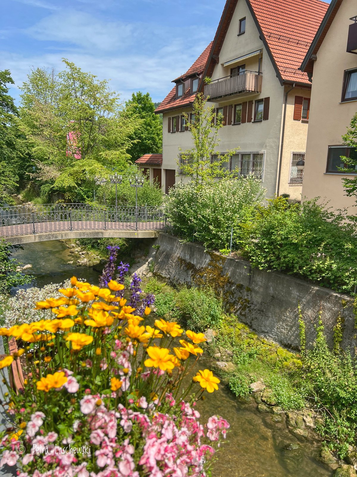 Diese Brücke führte uns in die Therme
