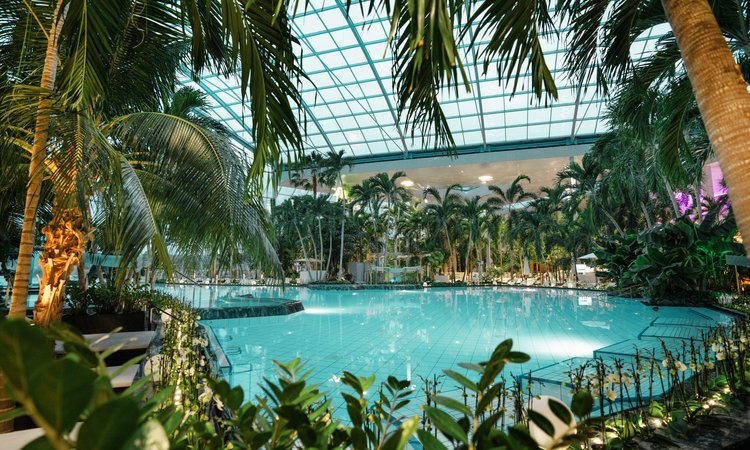 Thermen-und Badewelt Sinsheim_SNH-Palmenparadies_Lagune_Daemmerung-2024_1 Thermen-und Badewelt Sinsheim_SNH-Palmenparadies_Lagune_Daemmerung-2024_1
