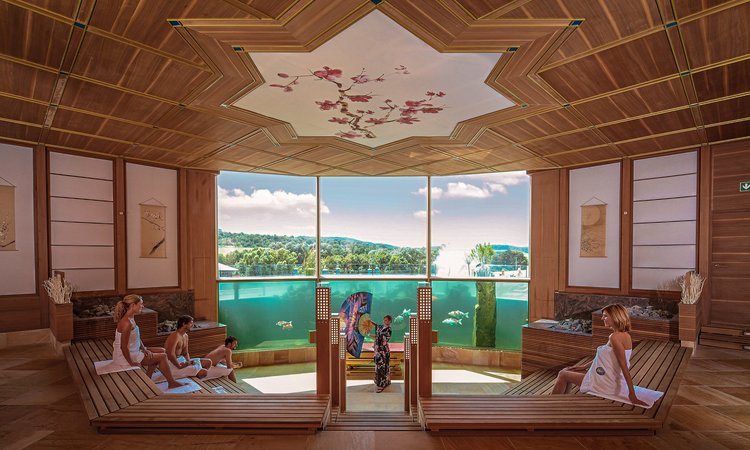 Thermen-und Badewelt Sinsheim_SNH-Vitaltherme-Koi-Sauna-2024 Thermen-und Badewelt Sinsheim_SNH-Vitaltherme-Koi-Sauna-2024